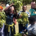 Better health, nutrition, and food security