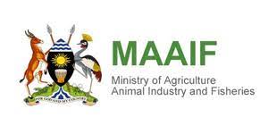 MAAIF-logo