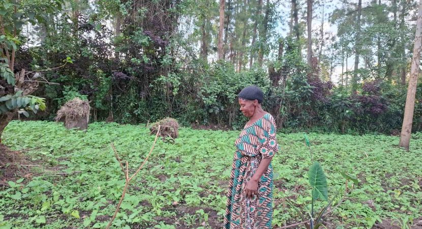 Elderly-lady-in-garden